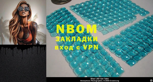 индика Балахна