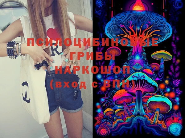 индика Балахна