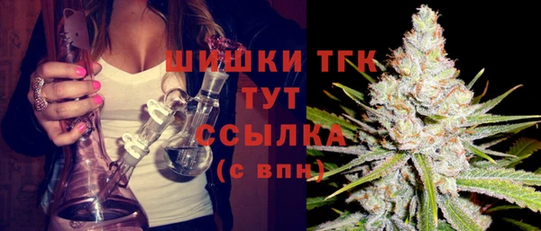 индика Балахна