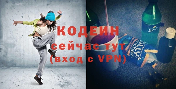 индика Балахна