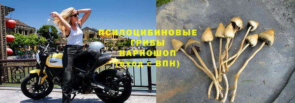 индика Балахна