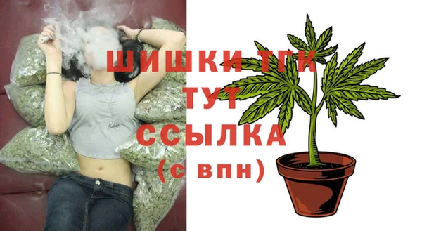индика Балахна