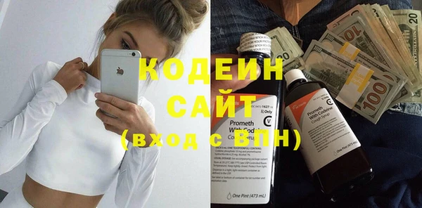 индика Балахна