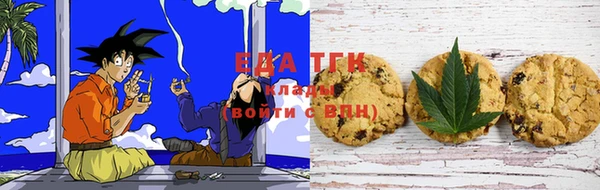 индика Балахна
