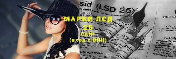 индика Балахна